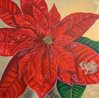 Flor de Pascua y Coqui