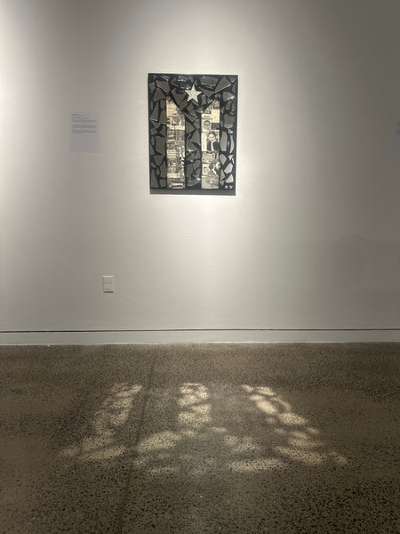 Reflections of a Revolution