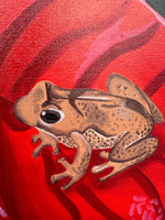 Flor de Pascua y Coqui