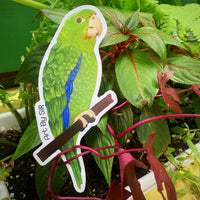Iguaca Sticker